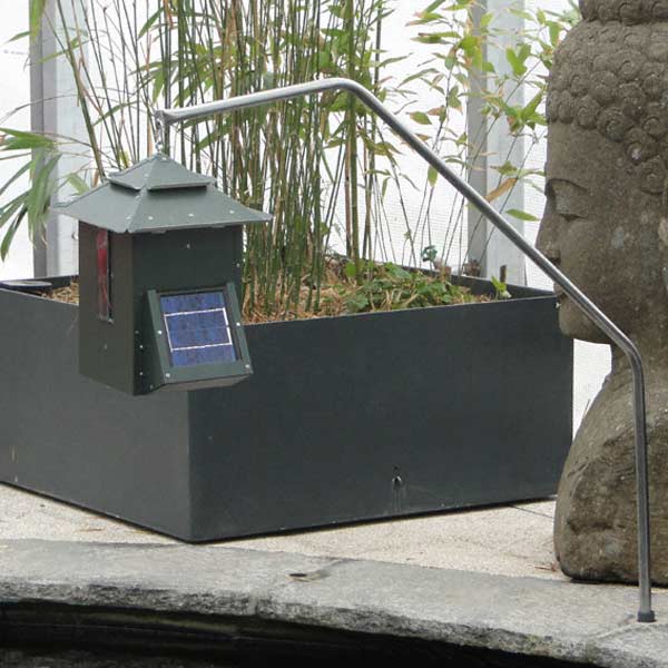 Distributeur automatique de nourriture Koi Cafe vert, cellule solaire incluse