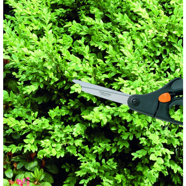 Buchsbaumschere S50