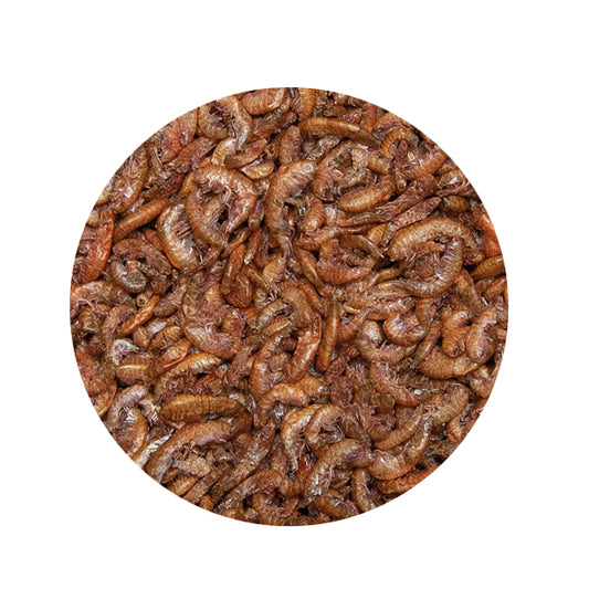 Kobre®San Seidenraupen, Koifutter, Leckerli für Kois, Fischfutter