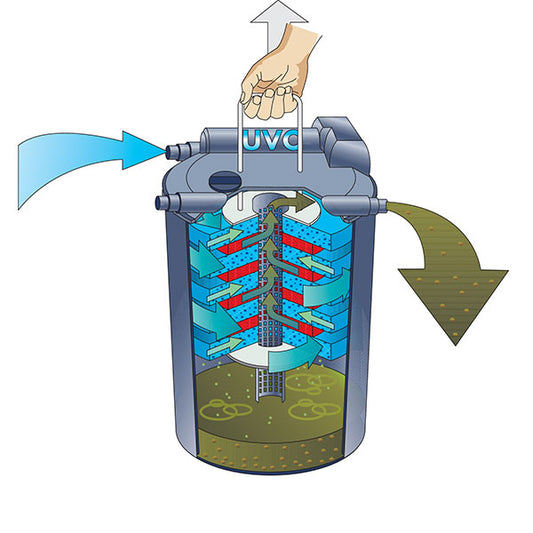 Oase FiltoClear 6'000 inkl. 11 Watt UV-C