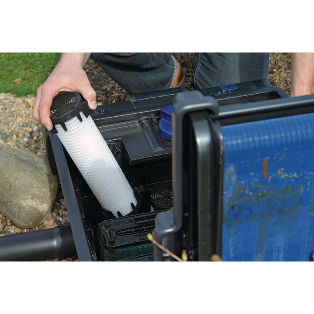 Oase AquaActiv PhosLess Algenschutz Oase Nr. 36981