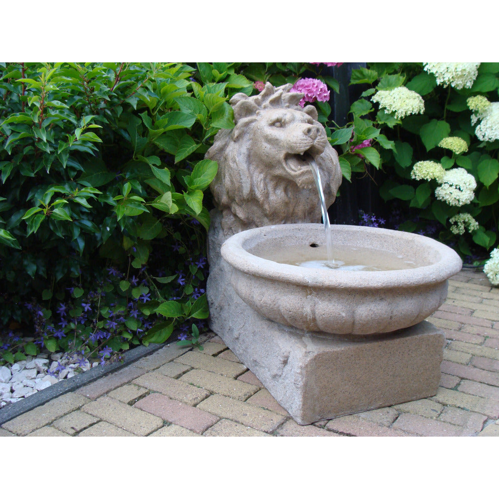 Acqua Arte Set Basel, Outdoor Brunnen, Wasserspeier, Löwenkopf