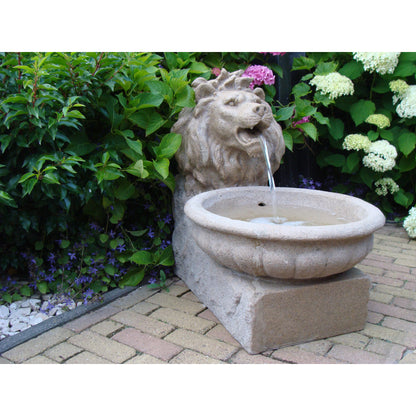 Acqua Arte Set Basel, Outdoor Brunnen, Wasserspeier, Löwenkopf