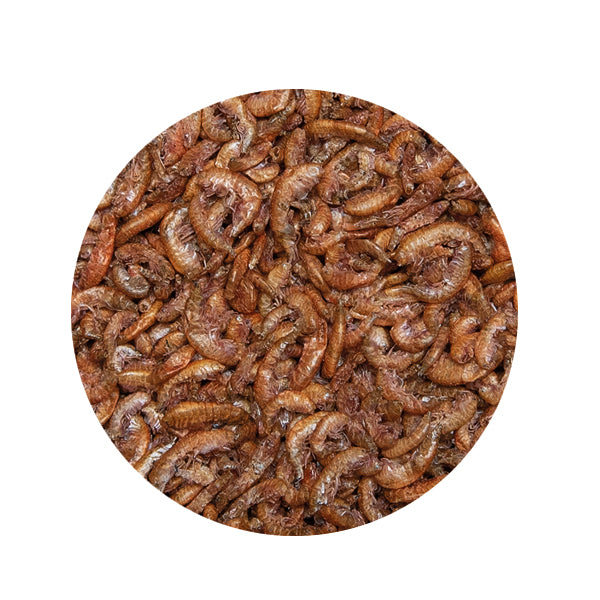 Kobre®San Seidenraupen, Koifutter, Leckerli für Kois, Fischfutter