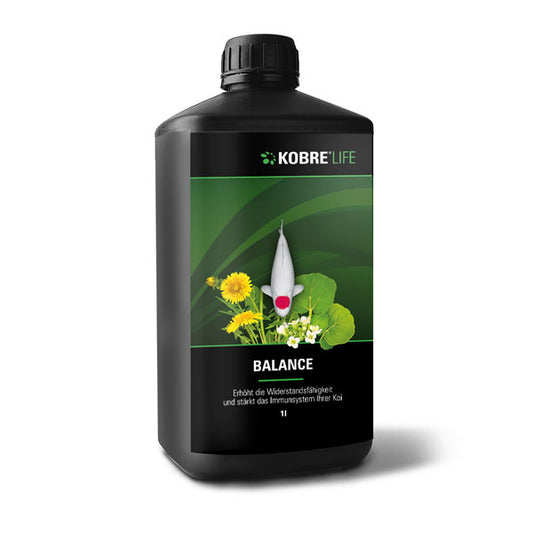 Kobre®Life Balance, Koi umsetzen, Teichzubehör