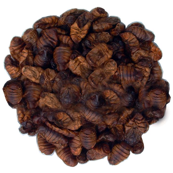 DRIED SILKWORMS, 750g